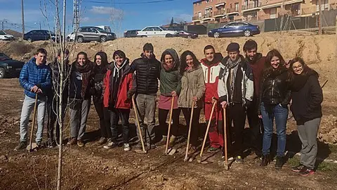 Festa de l'arbre Juneda portada