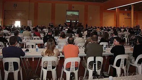 Vi per Vida portda