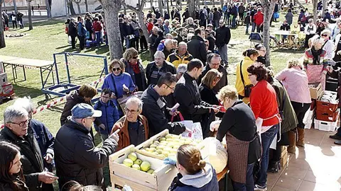 Festa Mat