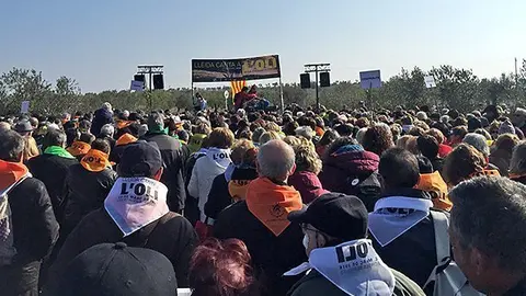 La trobada Lleida canta a l'oli d'aquest diumenge a les Borges