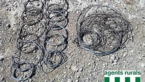 llaços les garrigues portada