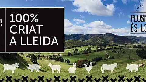 criat a lleida_NP portada