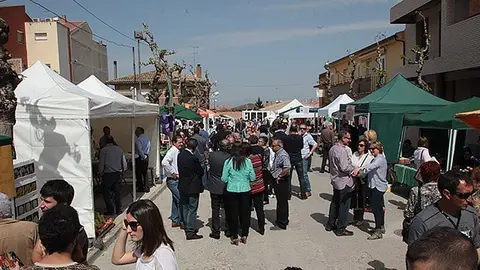 Imatge de la Fira de la Floració de Miralcamp