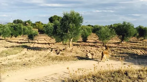 Foto paisatge 2 portada