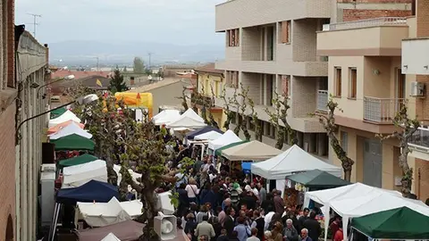 Firacamp 3a Festa de la Floració2016 (96)