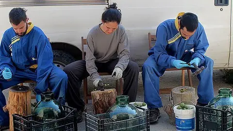 Els membres de la cooperativa Tres Cadires d'Arbeca