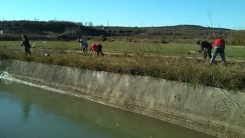Activitats dels voluntaris en el Parc de la Banqueta