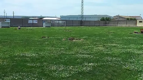 Camp de futbol Aitona portada