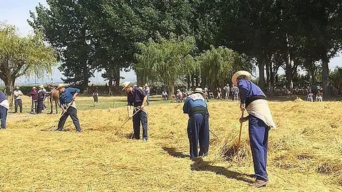 festadelbatre portada