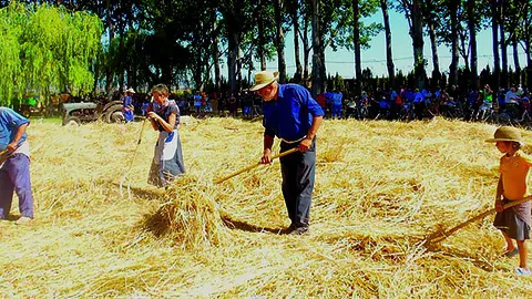 Una mostra de l'activitat familiar en la festa del Batre de la Fuliola