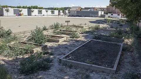 Hort escola Les Arrels de Mollerussa portada