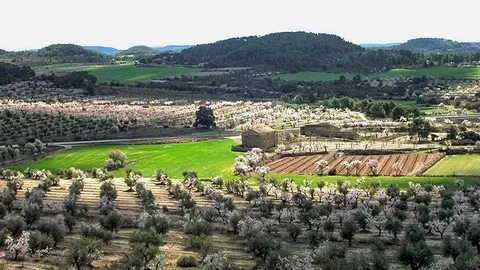 Paisatges en la proposta turística Paisatges de l&#39;Oli a les Garrigues