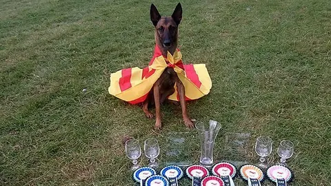 L'exemplar guanyador de la Selecció Catalana amb els trofeus