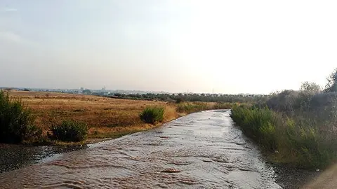 Rebentada canonada auxiliar de reg del Canal Segarra-Garrigues