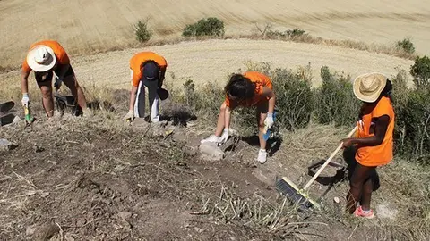 Treballs arqueològics realitzats al Pla de les Tenalles aquest estiu (2)
