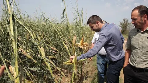 El director territorial d'Agricultura Ferran de Noguera i Àlex Mases visiten finques afectades