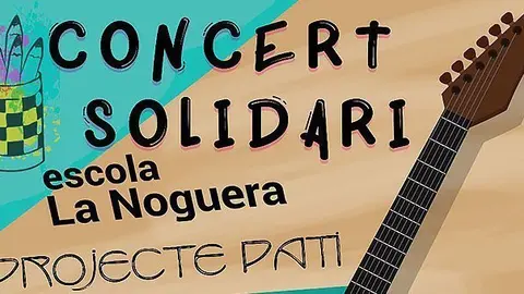 Concert solidari Balaguer portada