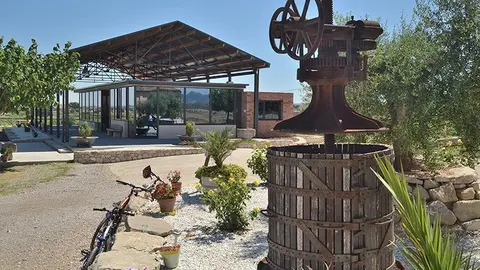 Vinya els Vilars Ruta del Vi de Lleida DO Costers del Segre Arbeca 1