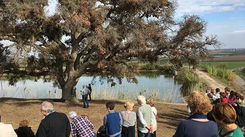 Caminada popular a l&#39; Alzinera del Quelàs