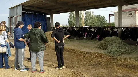 Pla general amb els alumnes de l'IFE observant els vedells de l'explotació ramadera de l'INS Mollerussa, el 24 d'octubre de 2016 ACN portada