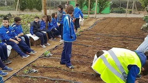 Els alumnes de l'escola Mossèn Ton Clavé de Vila-sana treballen a l'hort