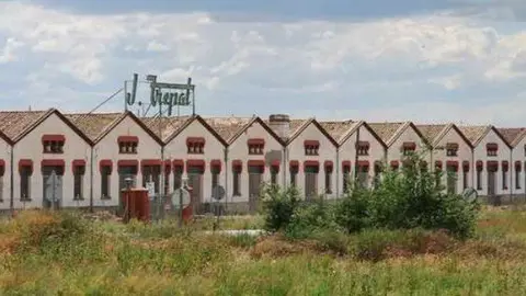 trepat1
