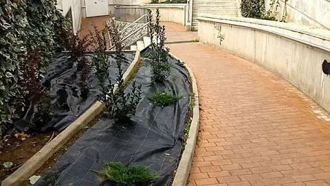 millora escales rampa estació portada