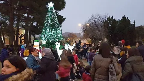 Torregrossa decora per primer cop un arbre als jardins municipals