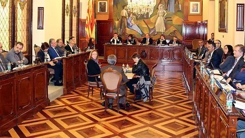 Ple de la Diputació de Lleida