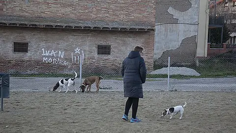 Usuaris i gossos en el Parc caní de Mollerussa