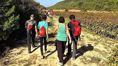 La prova esportiva compta amb un recorregut de 30,5 quilòmetres