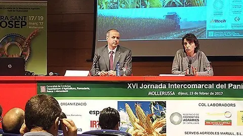 Acte inaugural de la Jornada del Panís a Mollerussa