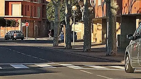 Nou pas de vianats a l'avinguda Sant Roc del Palau d'Anglesola