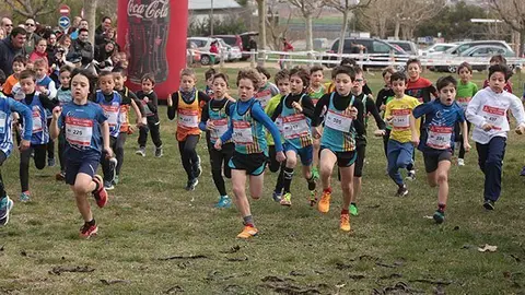 Cros Cullere Mollerussa 3