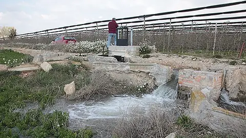 Imatge de l'aigua en una finca del Pla d'Urgell