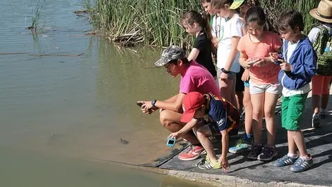 Introducció de les tortugues d'estany amb les activitats escolars