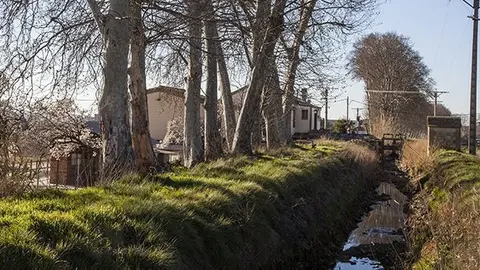 El salt de les llums al terme de Mollerussa Portada