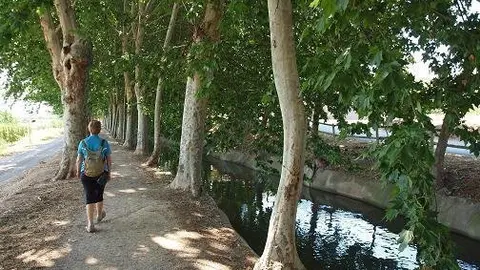 La banqueta del canal en el terme de Juneda