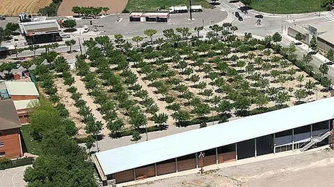 L'Ajuntament de Tàrrega proposa de celebrar per primera vegada el dia de la Mona portada