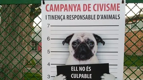 Cartell de la campanya d'actuaciò cívica de Bell-lloc