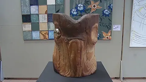 Exposiciò de Marina Dalmau i Llorenç Garci al Centre Cultural de Mollerussa 1