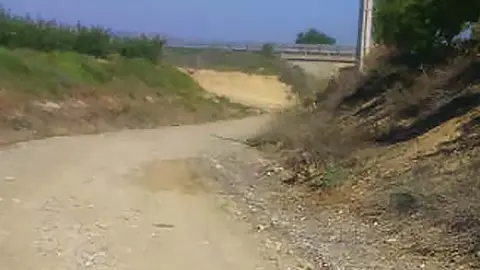 camins aitona 2 portada