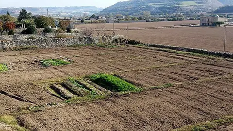 Tercera temporada del projecte Horts Socials i Inclusius