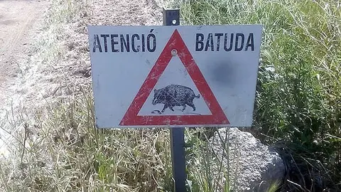 batuda almenar acn portada