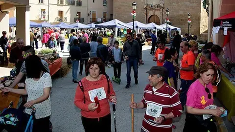 Fira de la camamilla i plantes medicinals de Linyola