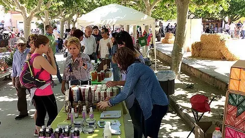 La plaça Planell va acollir la mostra d'artesania i productes derivats de la camamilla