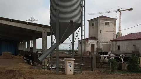 Explotació ramadera en el centre de formació agrària de Mollerussa