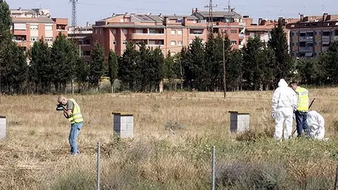 Mossos d'investigació fent fotografies al lloc dels fets, a la Bordeta Portada