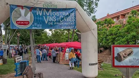 Mostra de Vins i Caves de proximitat a Agramunt