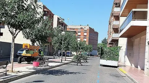 Mollerussa esporga d'estiu portada